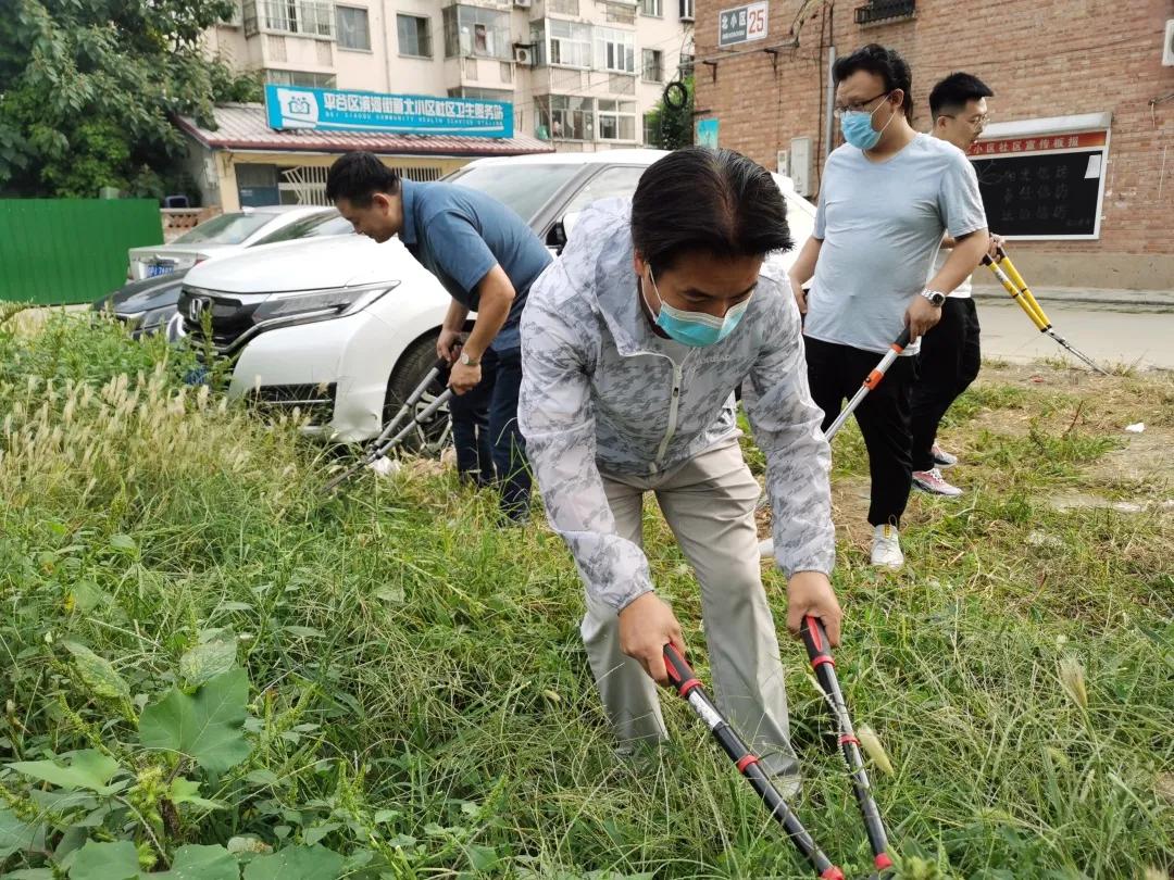 平谷区科学技术和工业信息化局人事任命，开启科技与工业新篇章