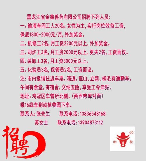 通榆县医疗保障局最新招聘启事