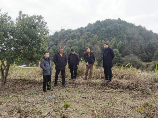 万载县水利局推动水利建设助力地方繁荣的最新动态